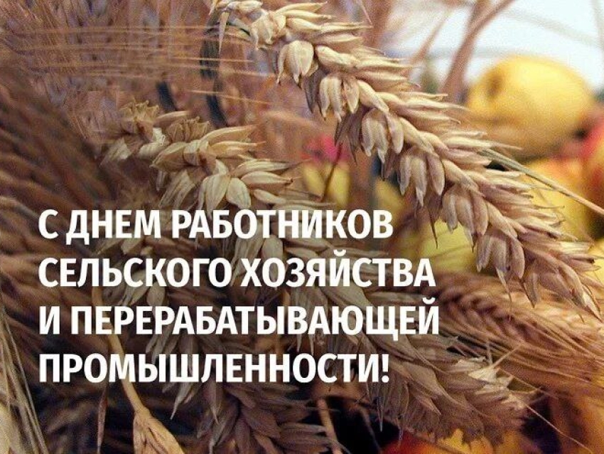 С днем работника сельского хозяйства и перерабатывающей промышленности
